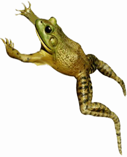 [http://www.clownlink.com/uploaded_images/frog_jumping-714039.gif]