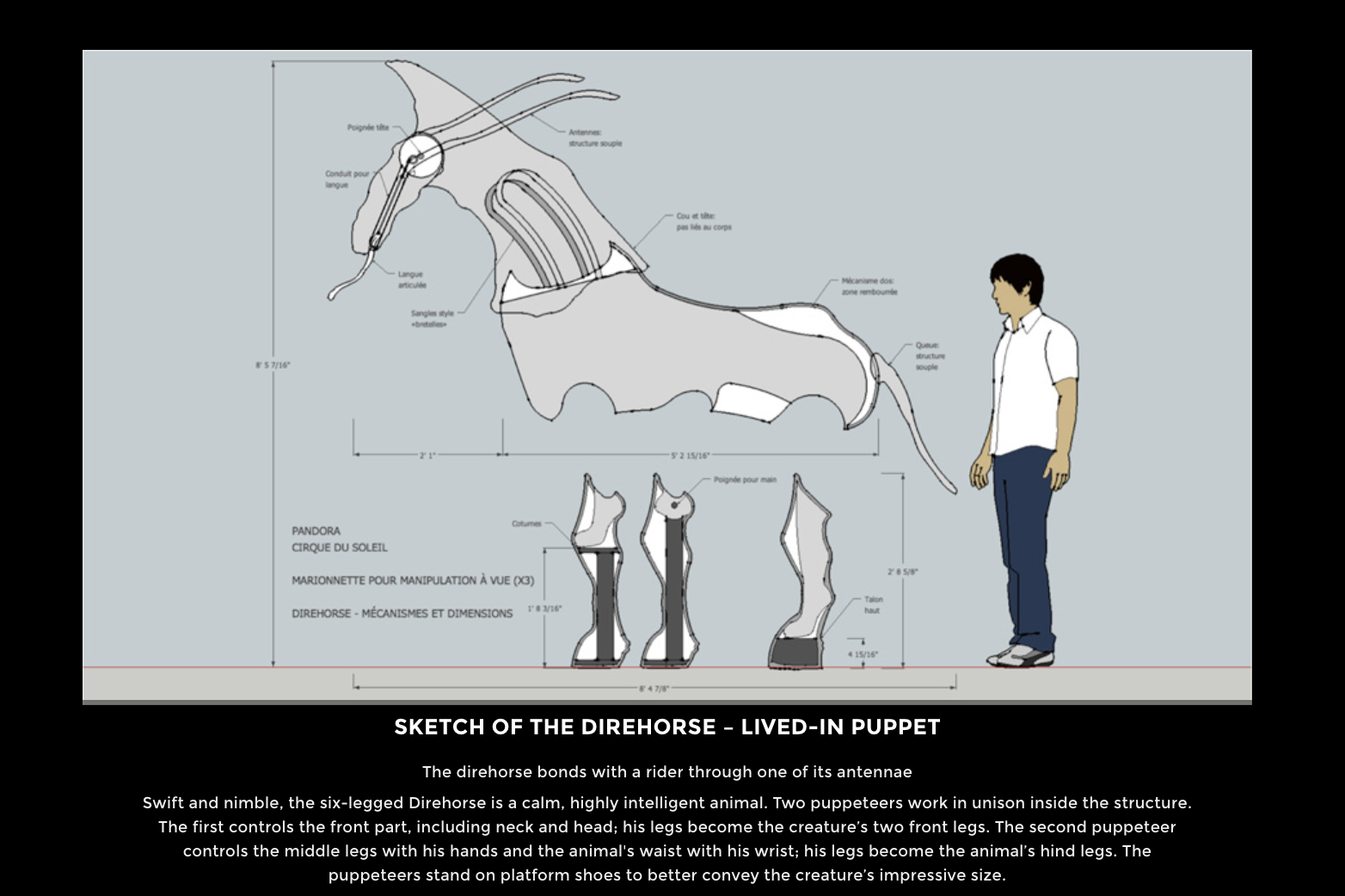 cirque_direhorse