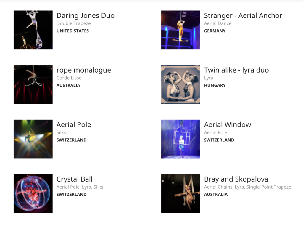Aerial Acts Listed on CircusTalk.com