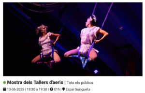Circorts Festival- Aerial Workshop